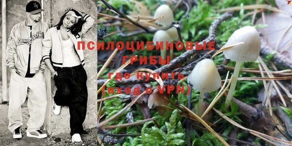 ПСИЛОЦИБИНОВЫЕ ГРИБЫ Алексеевка
