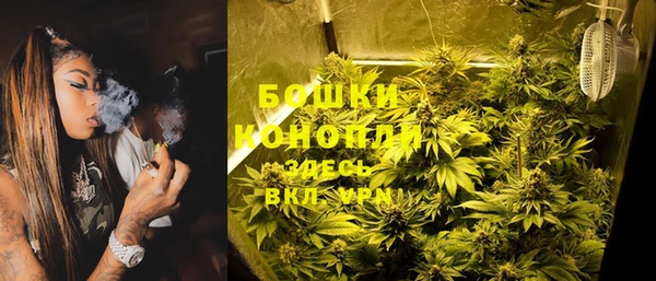 ПСИЛОЦИБИНОВЫЕ ГРИБЫ Алексеевка