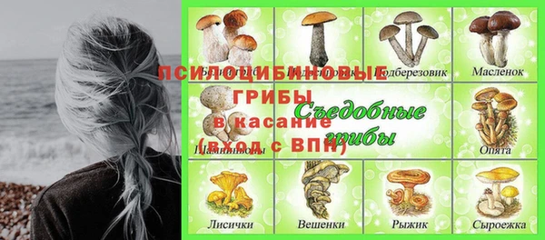 кокс Алексин