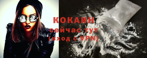 кокс Алексин